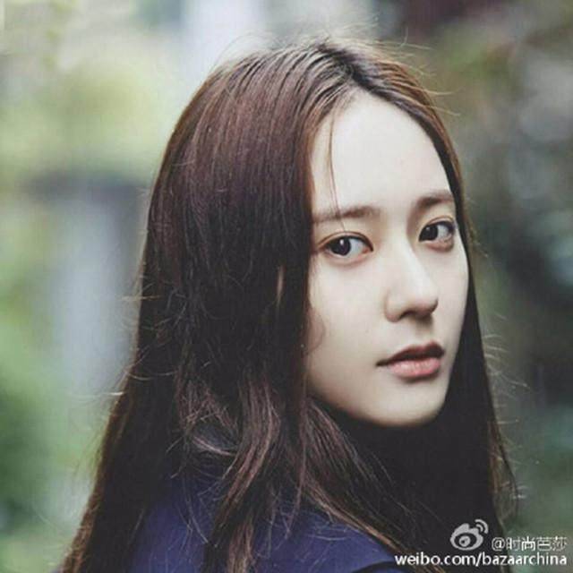 黑色大丽花
